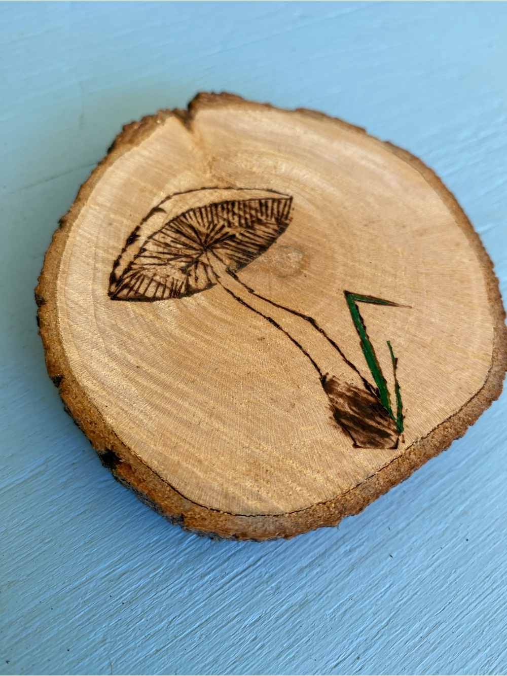 🍄 Hand-Burned Mushroom Wood Slice Décor in Natural and Green